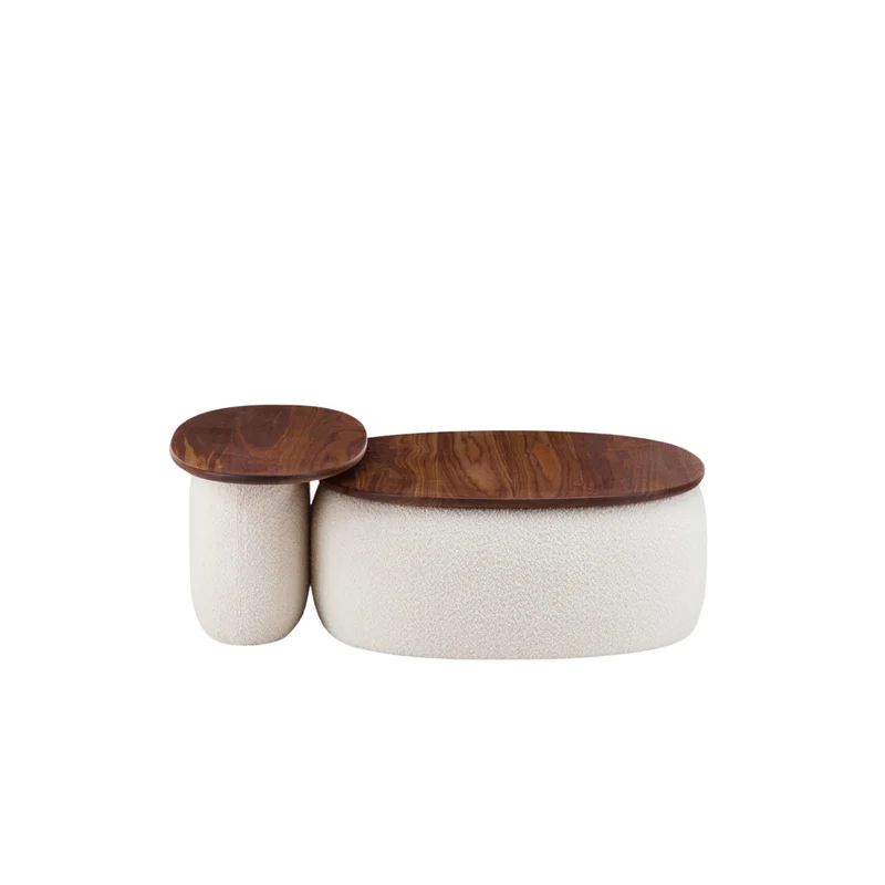 Coffee And Side Table Set DE020